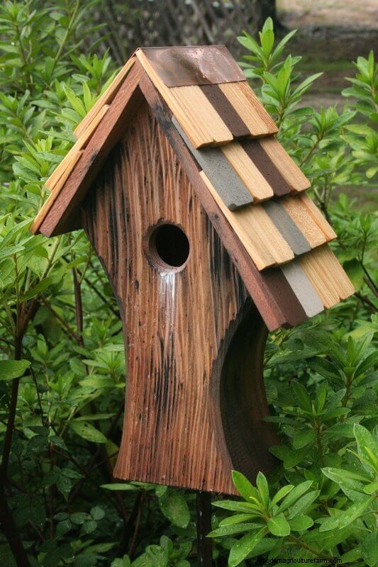 Best Birdhouses: Attract Feathered Friends to Your Garden