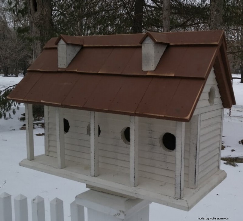 Best Birdhouses: Attract Feathered Friends to Your Garden