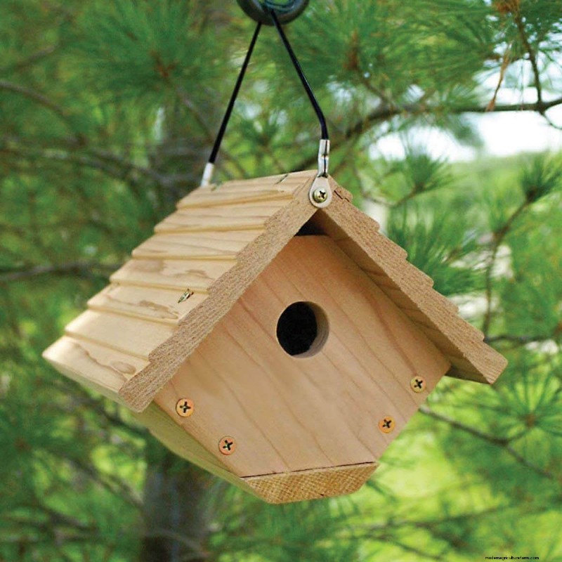 Best Birdhouses: Attract Feathered Friends to Your Garden