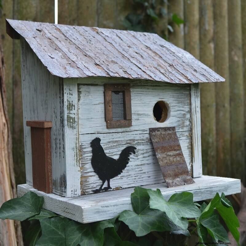 Best Birdhouses: Attract Feathered Friends to Your Garden