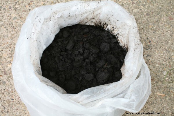 Gopher Control: Effective Methods to Protect Your Garden