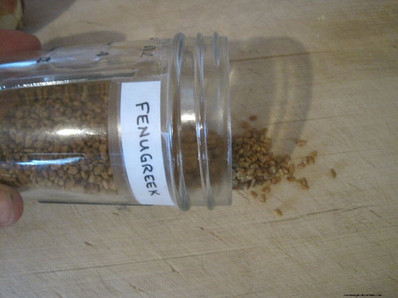 Grow Your Own Flavor: 8 Unique & Easy-to-Grow Spices