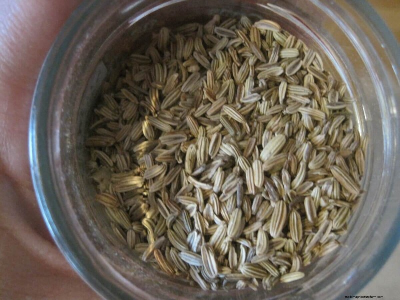Grow Your Own Flavor: 8 Unique & Easy-to-Grow Spices
