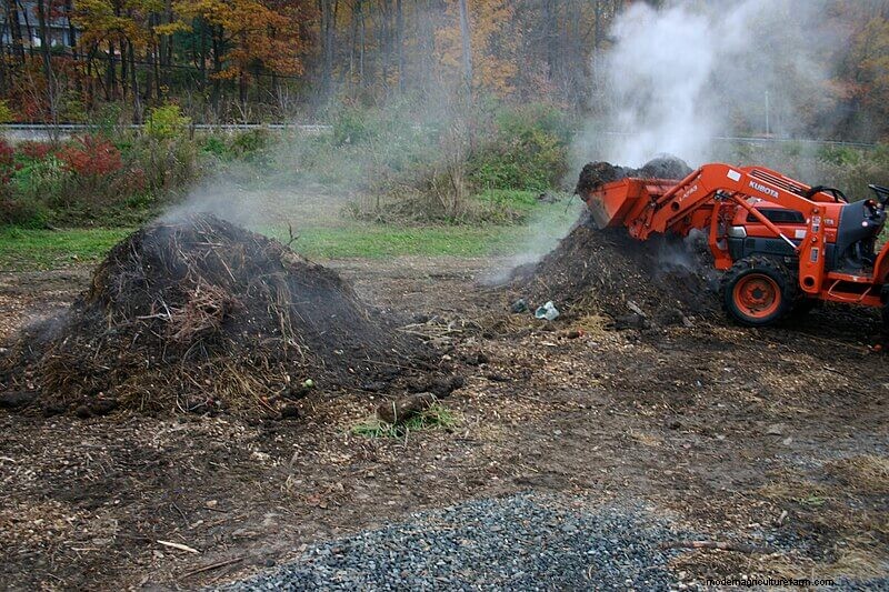 Choosing the Right Compost Bin: A Comprehensive Guide