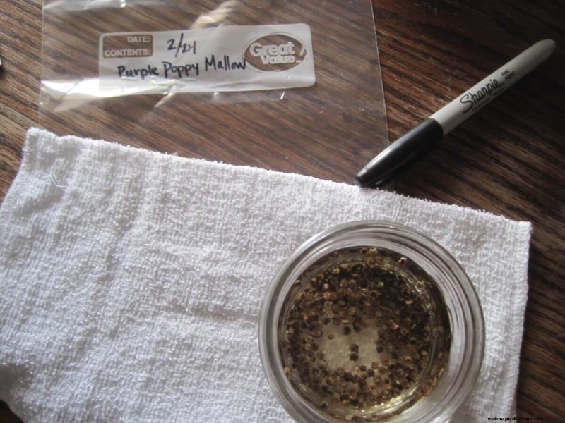Mastering Seed Germination: Techniques for Difficult-to-Start Seeds