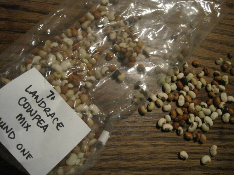 Landrace Gardening: A Guide to Heirloom & Self-Sustaining Plants