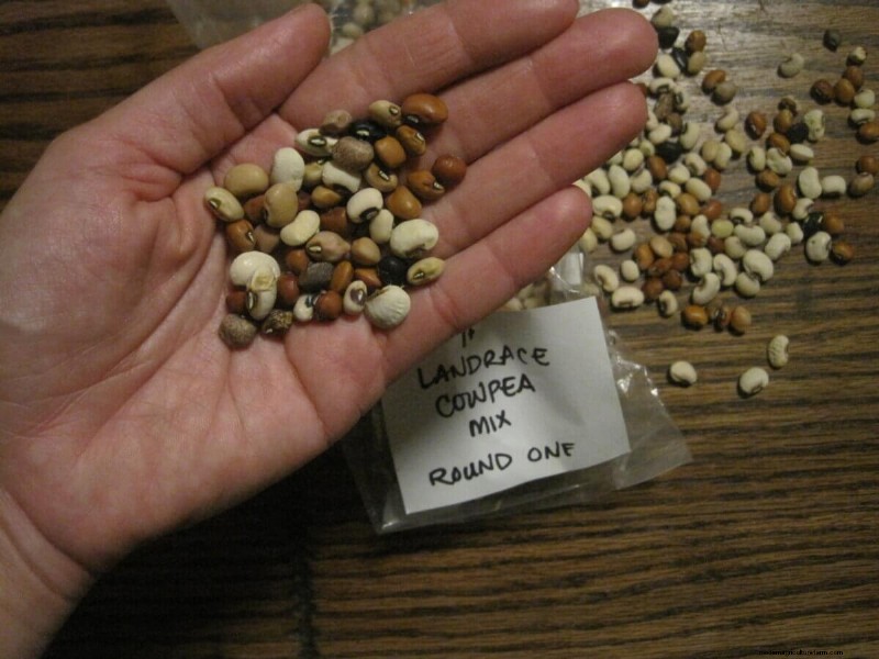 Landrace Gardening: A Guide to Heirloom & Self-Sustaining Plants