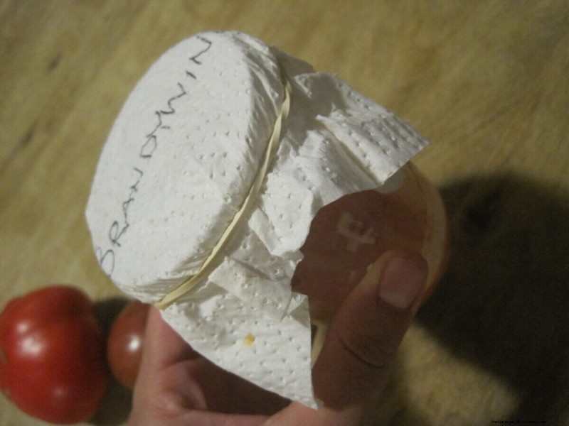 Tomato Seed Saving: A Complete Guide for Gardeners