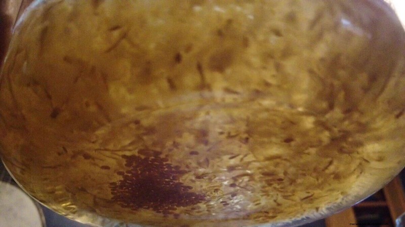 Preserving Eggplant Seeds: A Guide for Home Gardeners