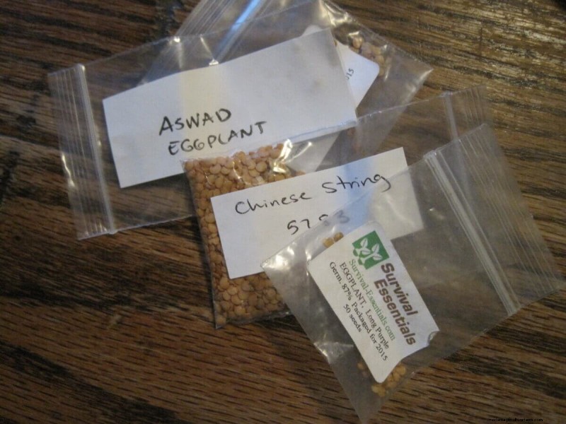 Preserving Eggplant Seeds: A Guide for Home Gardeners