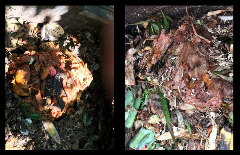 Troubleshooting Compost Odor: A Guide to Fixing Stinky Compost