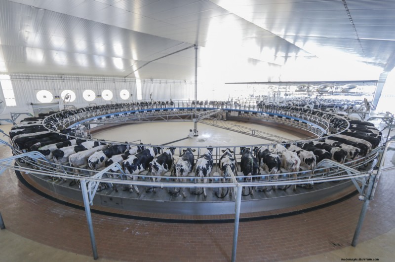 Scaling & Efficiency: Navigating Commodity Market Dynamics