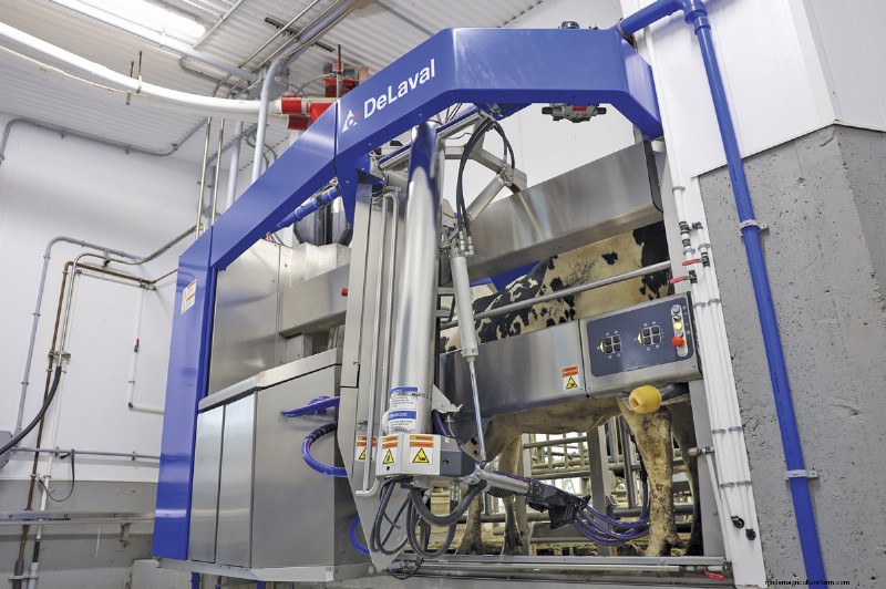 Maximize Milk Production: 7 Benefits of Clean Milking Robots
