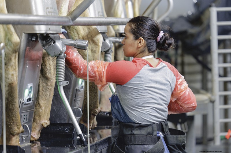 Rotary Parlor Startup: A Guide to Successful Implementation