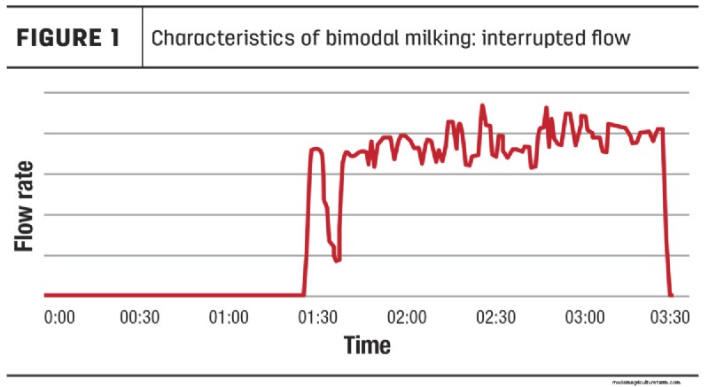 Understanding Bimodal Milking: Impact & Solutions for Dairy Farms