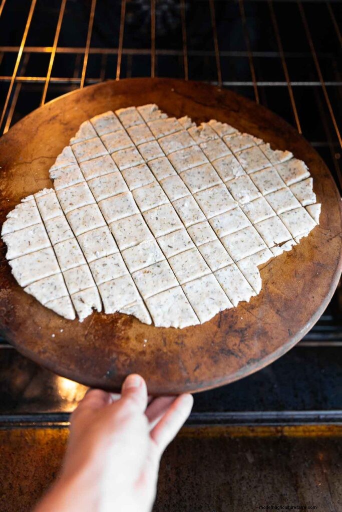Classic Sour Cream & Onion Crackers - Easy Homemade Recipe