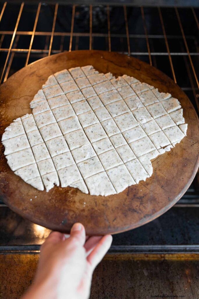 Crispy Homemade Italian Crackers Recipe - Authentic Flavor