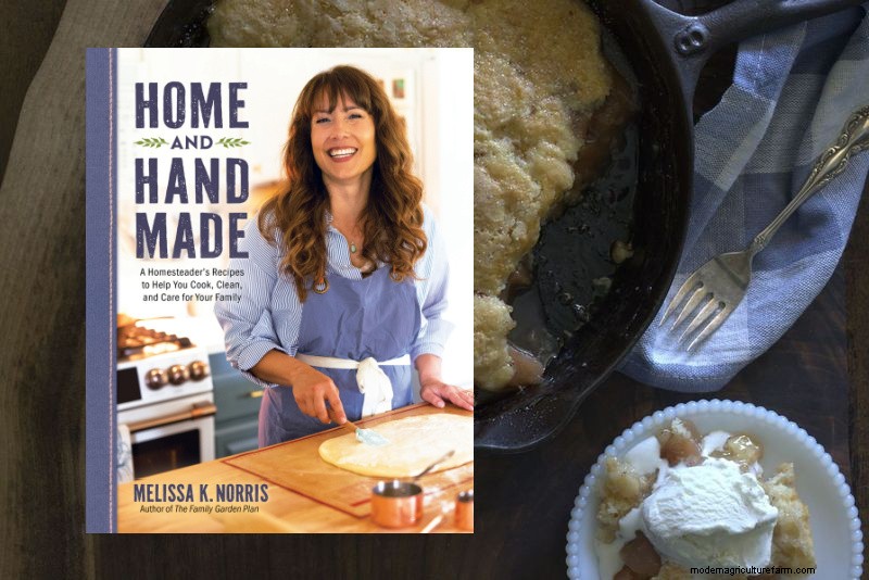 Crispy Homemade Italian Crackers Recipe - Authentic Flavor