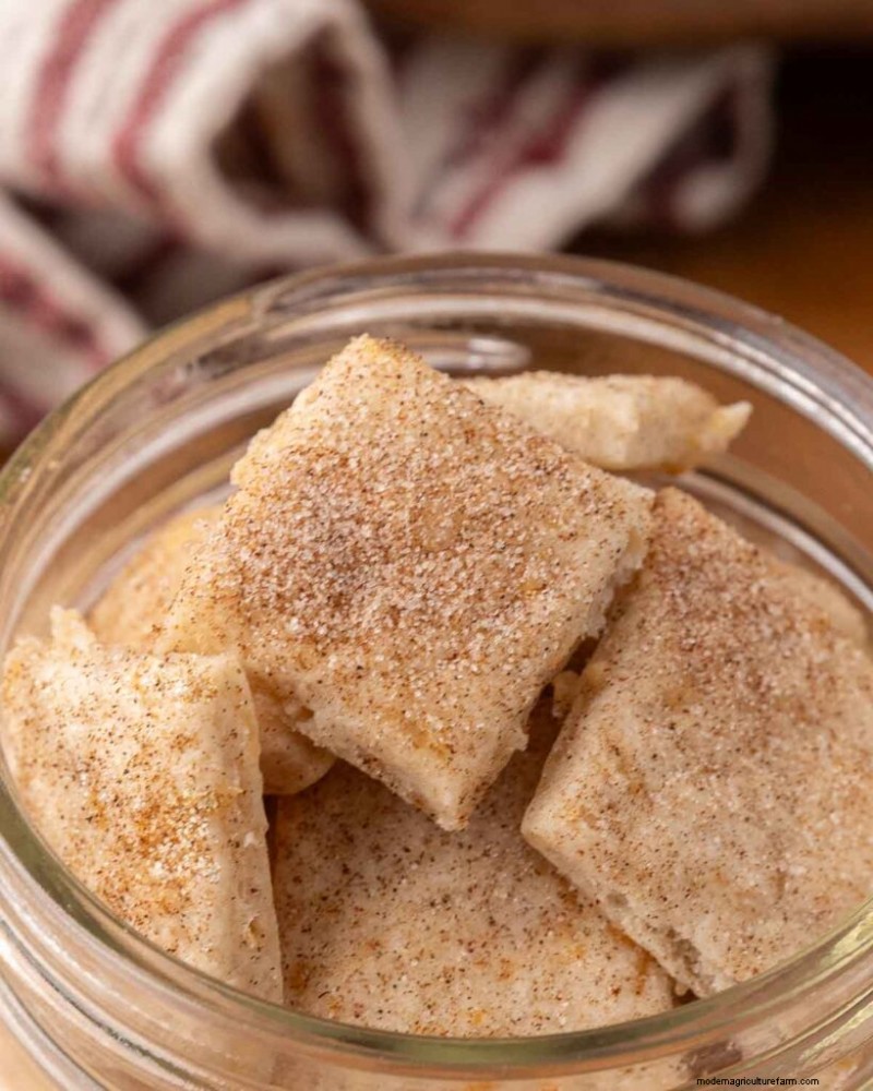 Homemade Sweet & Salty Crackers: Easy Recipe