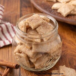 Homemade Sweet & Salty Crackers: Easy Recipe