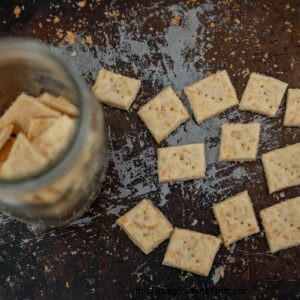 Easy Homemade Cheese Crackers Recipe (4 Ingredients)