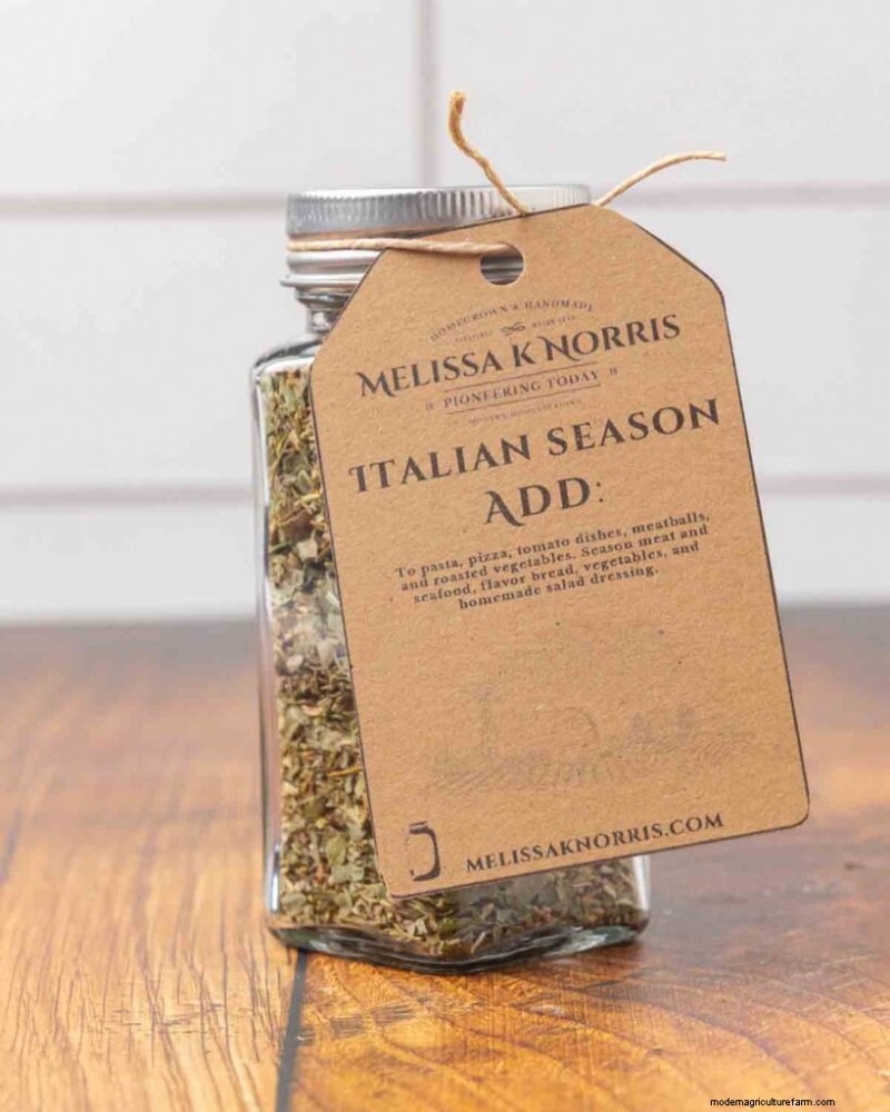 Homemade Italian Seasoning Recipe: Authentic Flavor Blend