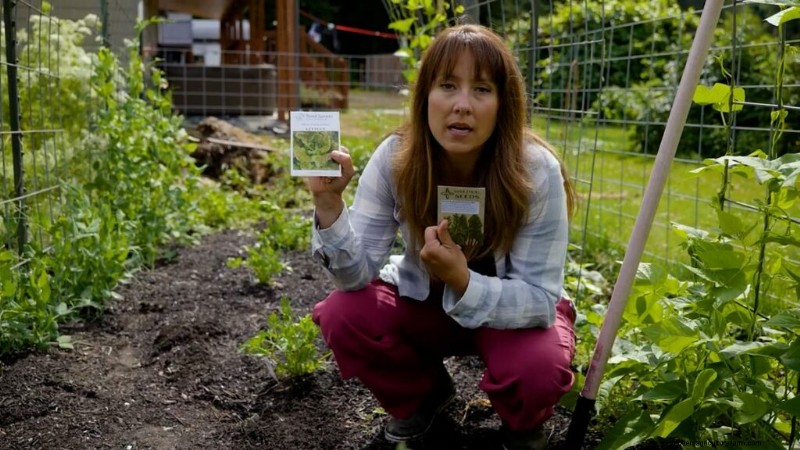 Succession Planting & Intercropping: Extend Your Harvest Season