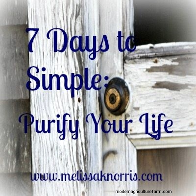 Simplify Your Life: 7-Day Guide to Calm & Clarity - Free Ebook
