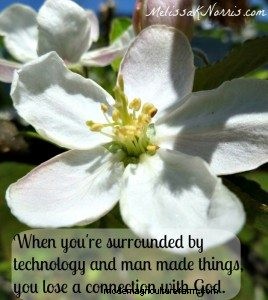 Homesteading & Faith: Finding Purpose and Connection in Self-Sufficiency