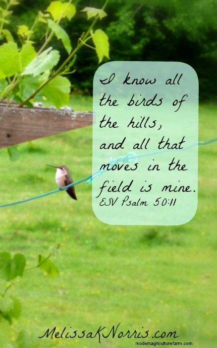 Praying for Lost Loved Ones: Finding Hope and Trust in God s Plan
