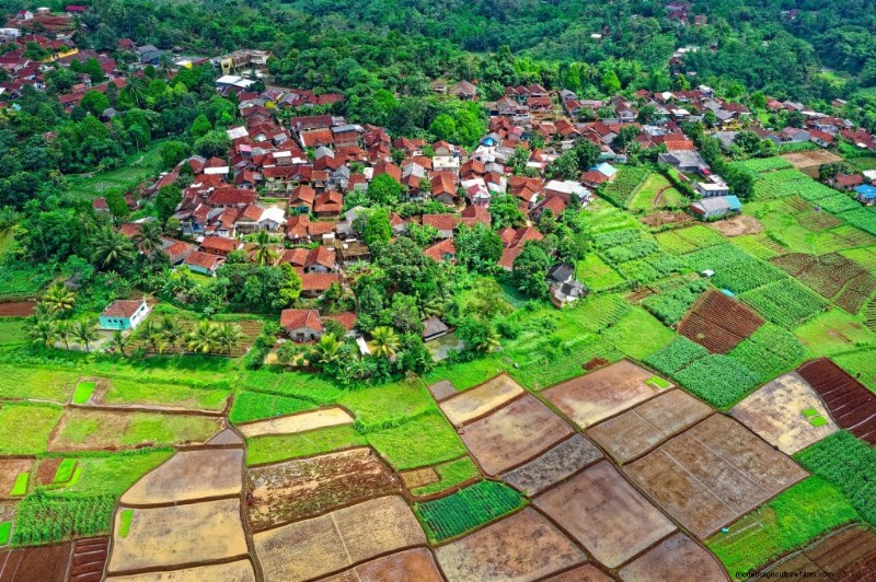 Agroforestry: Definition, Types, and Benefits for Sustainable Agriculture