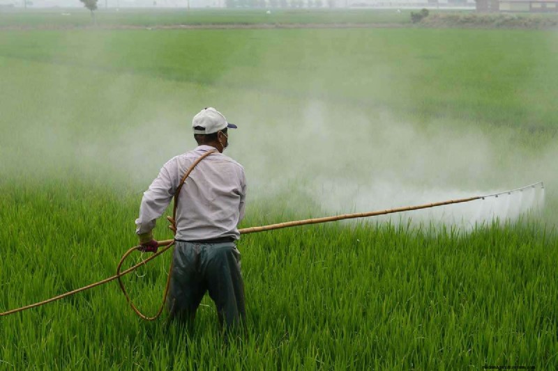 18+ Advantages & Challenges of Organic Farming – The Ultimate Expert Guide