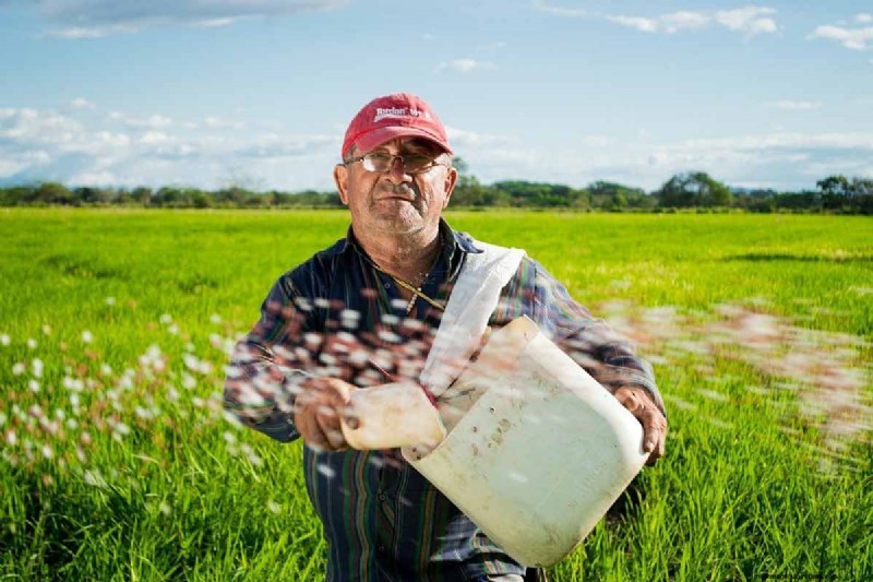 18+ Advantages & Challenges of Organic Farming – The Ultimate Expert Guide