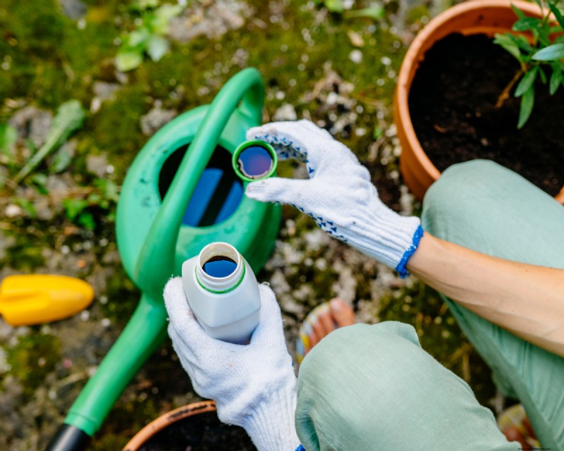 June Apple Tree Care: 6 Key Tasks to Boost Health and Yield
