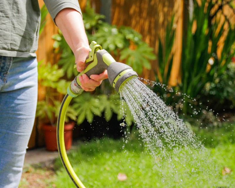 May Apple Tree Care: 5 Essential Tasks for a Healthy, Bountiful Harvest
