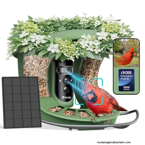 Prime Day Savings: Premium Feeders, Baths & Birdhouses for Your Backyard Birds