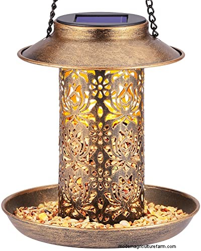 Prime Day Savings: Premium Feeders, Baths & Birdhouses for Your Backyard Birds