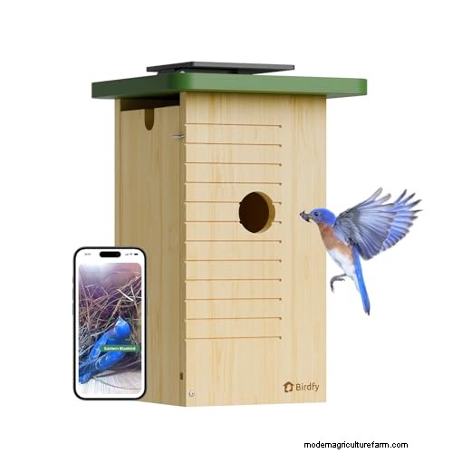 Prime Day Savings: Premium Feeders, Baths & Birdhouses for Your Backyard Birds