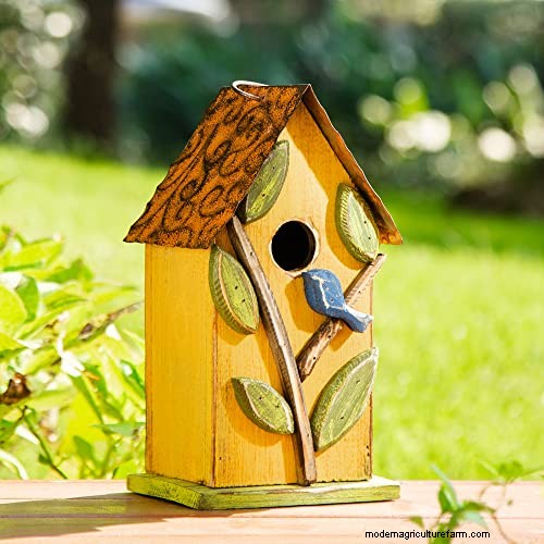 Prime Day Savings: Premium Feeders, Baths & Birdhouses for Your Backyard Birds