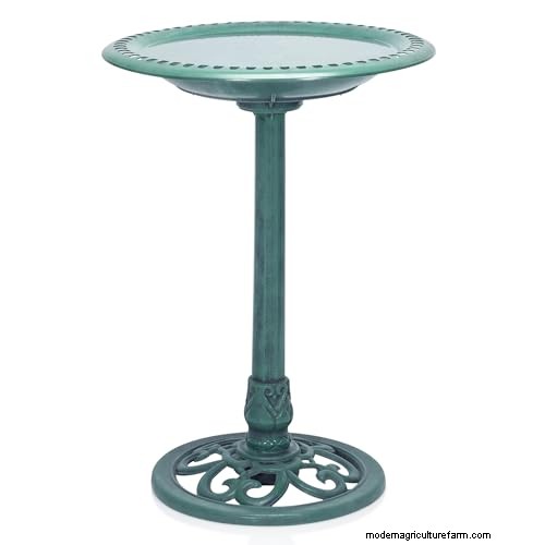 Prime Day Savings: Premium Feeders, Baths & Birdhouses for Your Backyard Birds