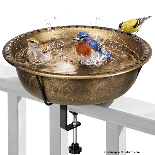 Prime Day Savings: Premium Feeders, Baths & Birdhouses for Your Backyard Birds