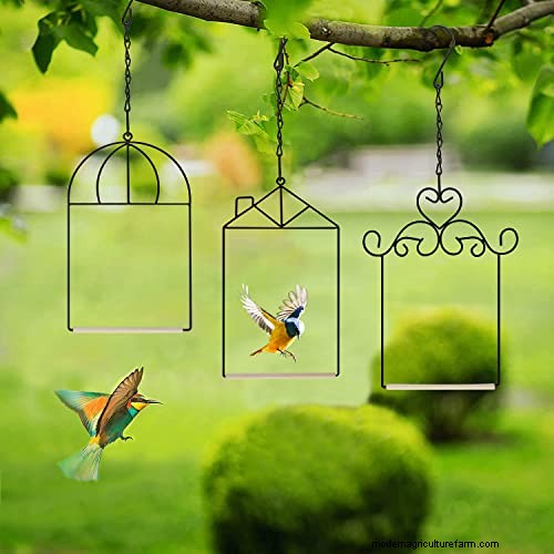 Prime Day Savings: Premium Feeders, Baths & Birdhouses for Your Backyard Birds