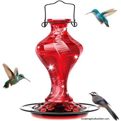 Prime Day Savings: Premium Feeders, Baths & Birdhouses for Your Backyard Birds