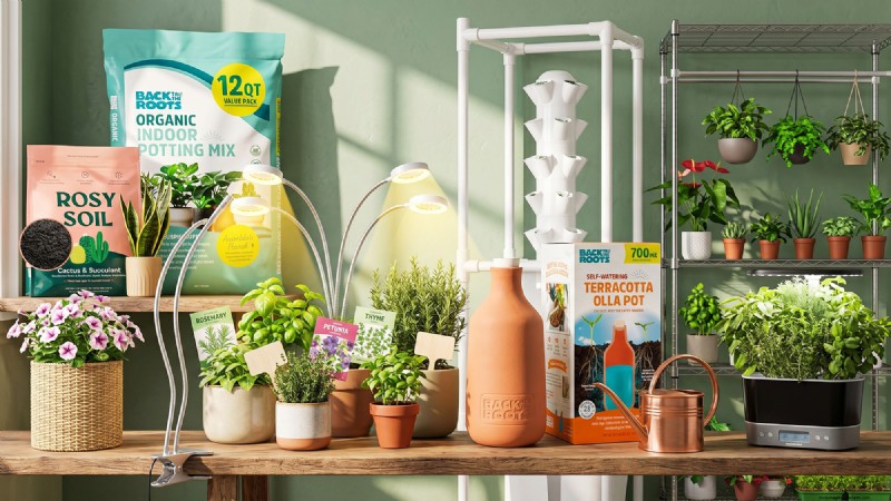 12 Expert‑Approved Amazon Prime Day Deals for Indoor Gardeners