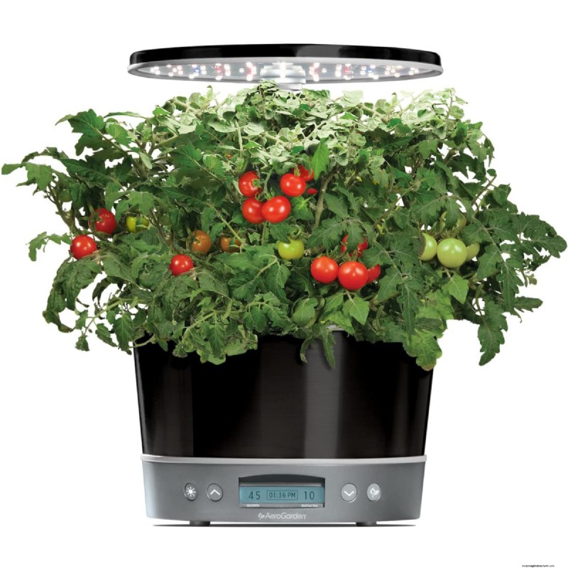 12 Expert‑Approved Amazon Prime Day Deals for Indoor Gardeners
