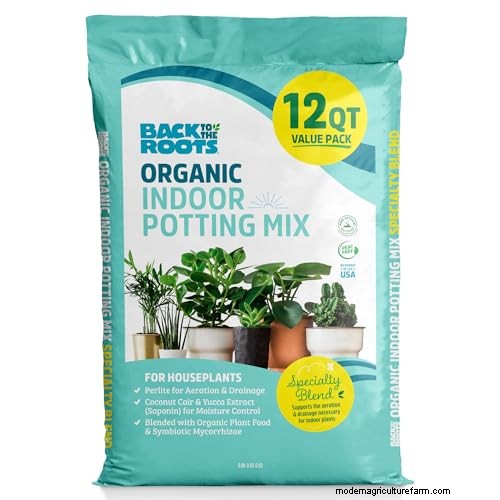 12 Expert‑Approved Amazon Prime Day Deals for Indoor Gardeners