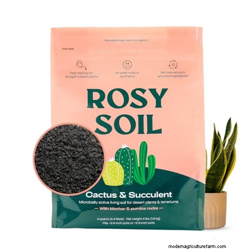 12 Expert‑Approved Amazon Prime Day Deals for Indoor Gardeners