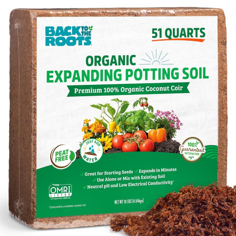 12 Expert‑Approved Amazon Prime Day Deals for Indoor Gardeners