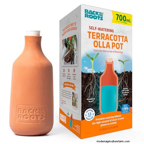12 Expert‑Approved Amazon Prime Day Deals for Indoor Gardeners