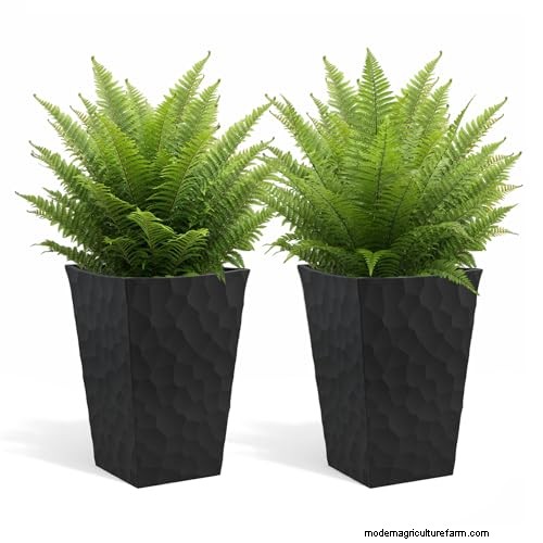 12 Expert‑Approved Amazon Prime Day Deals for Indoor Gardeners